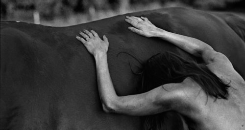 Galop